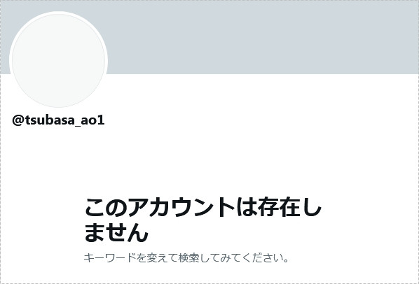 图片[2]_Twitter、IG全删、事务所移除资料、翼あおい消灭！_探号社